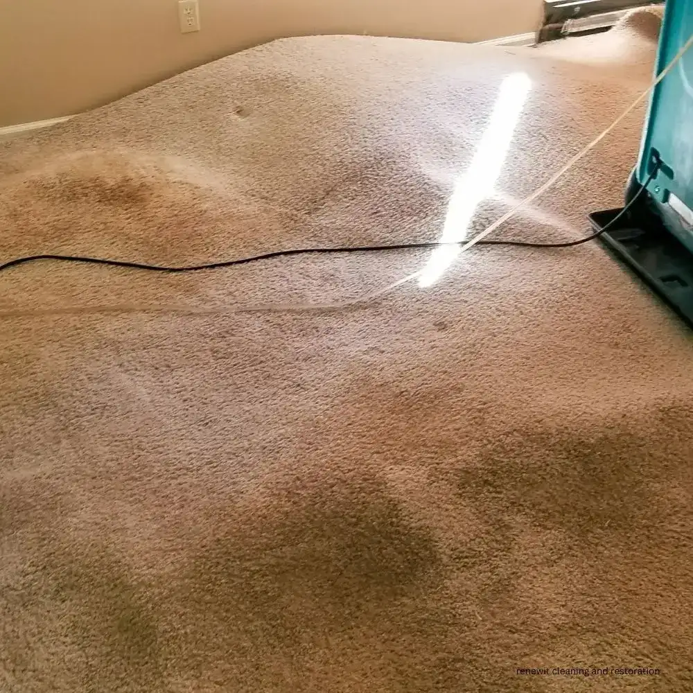 structural drying in rochester