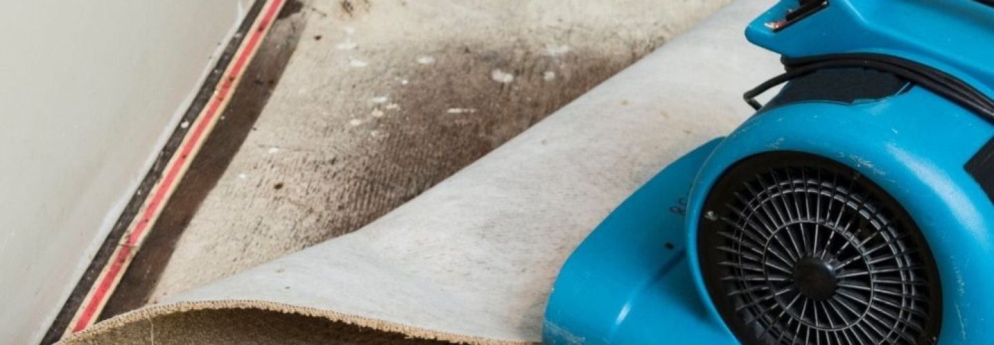 Dehumidifying in rochester