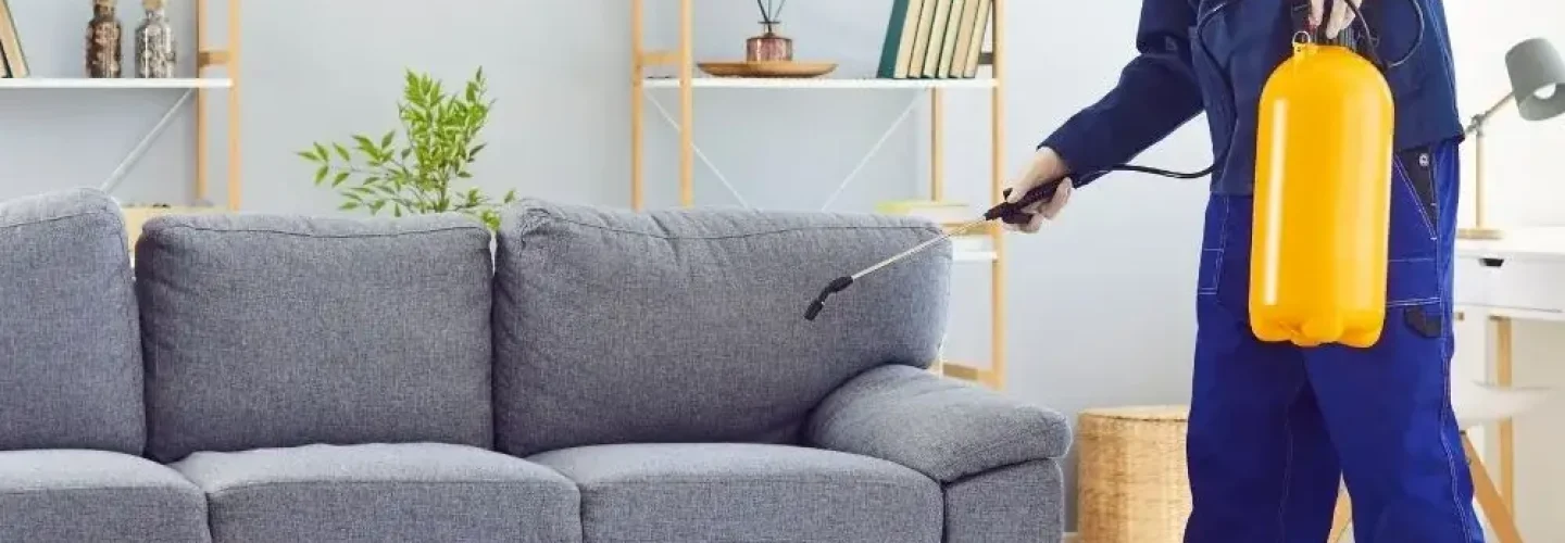 Odor Elimination in rochester