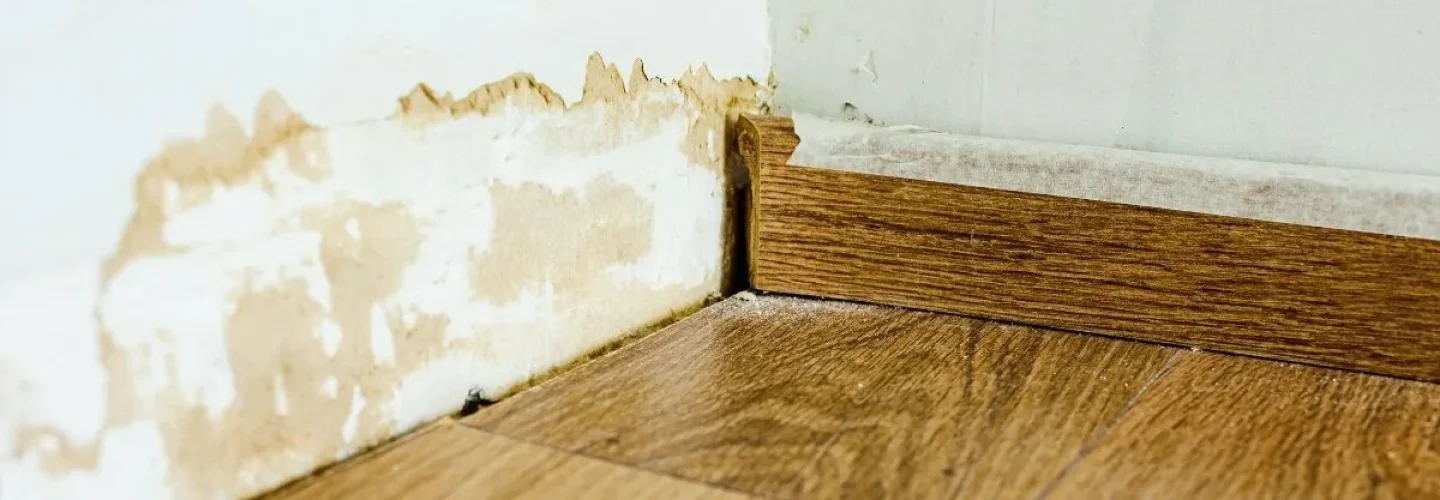 rochester water damage restoration services